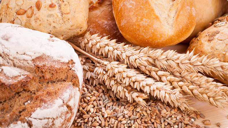 건강하고 행복한 삶